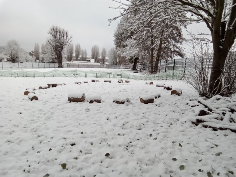 A picture of a circle of logs in the snow